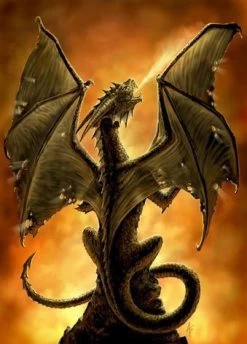 4 Pocket Portfolio Fire Breather Dragon