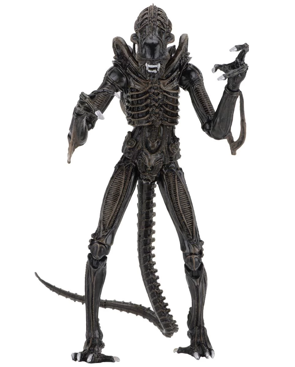 NECA Aliens (1986) - Brown Ultimate Alien Warrior Actionfigur – Bild 2