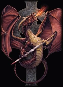 Celtic Dragon Protectors Japan