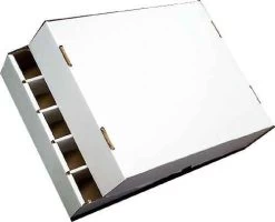 BCW Pappkarton Für 5000 Karten