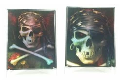 4 Pocket Portfolio Pirate