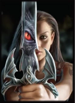 9 Pocket Portfolio Dragon Reflection