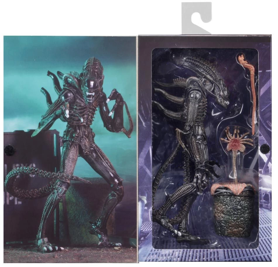 NECA Aliens (1986) - Brown Ultimate Alien Warrior Actionfigur – Bild 7