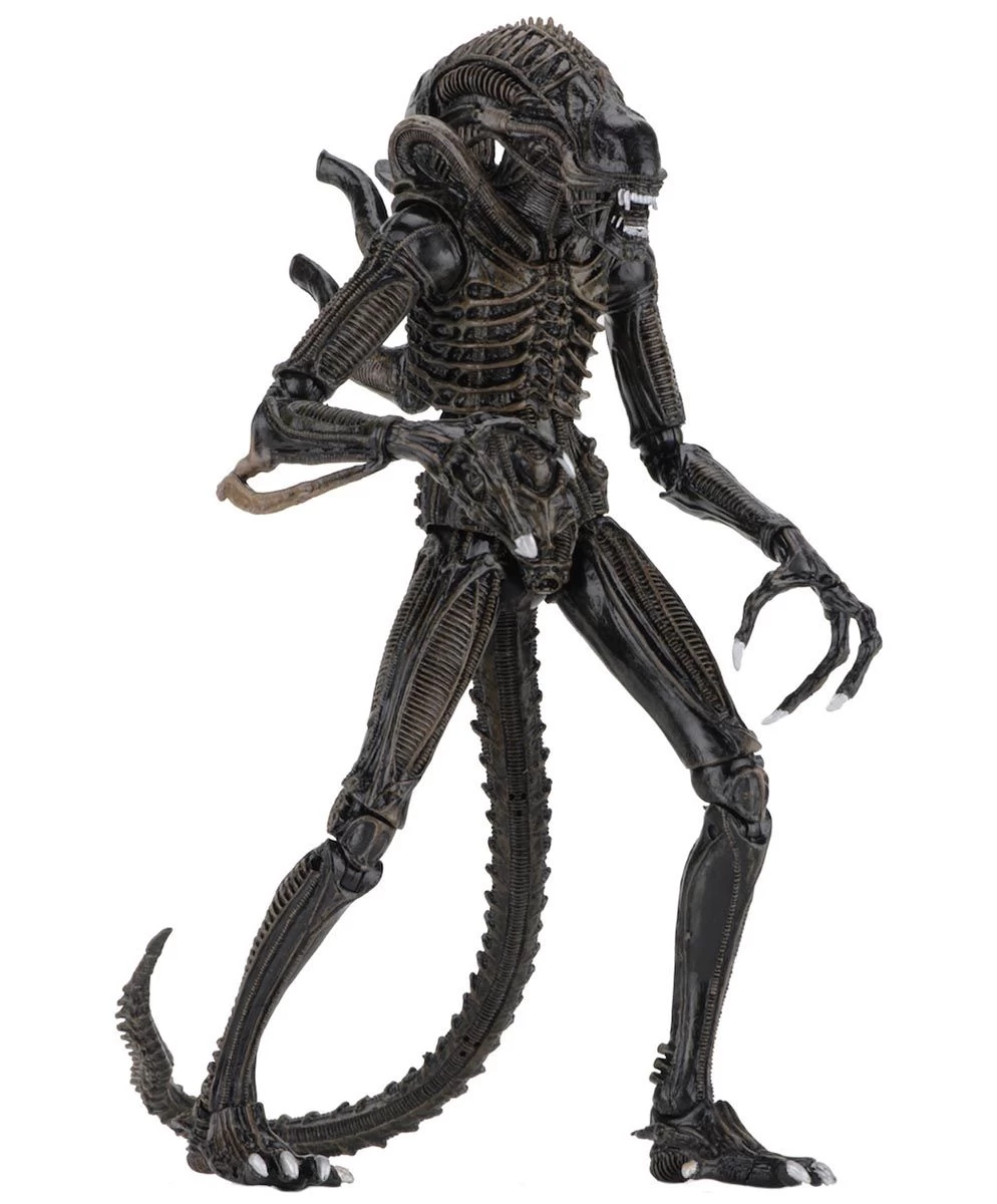 NECA Aliens (1986) - Brown Ultimate Alien Warrior Actionfigur – Bild 3